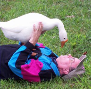 man lying on back with goose standing on his shoulders.